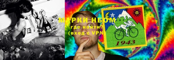 спиды Грязовец