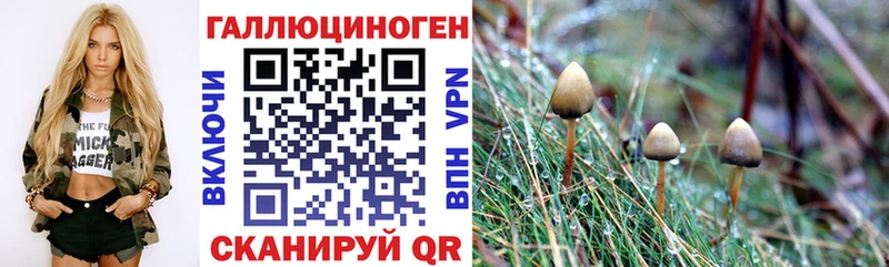Псилоцибиновые грибы ЛСД  Белый 
